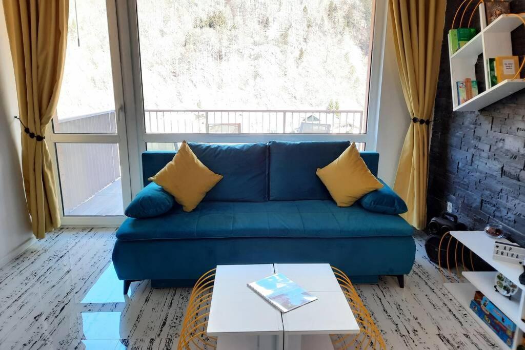 Apartament Erika Sinaia Dış mekan fotoğraf