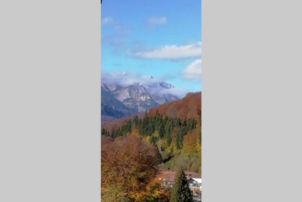 Apartament Erika Sinaia Dış mekan fotoğraf