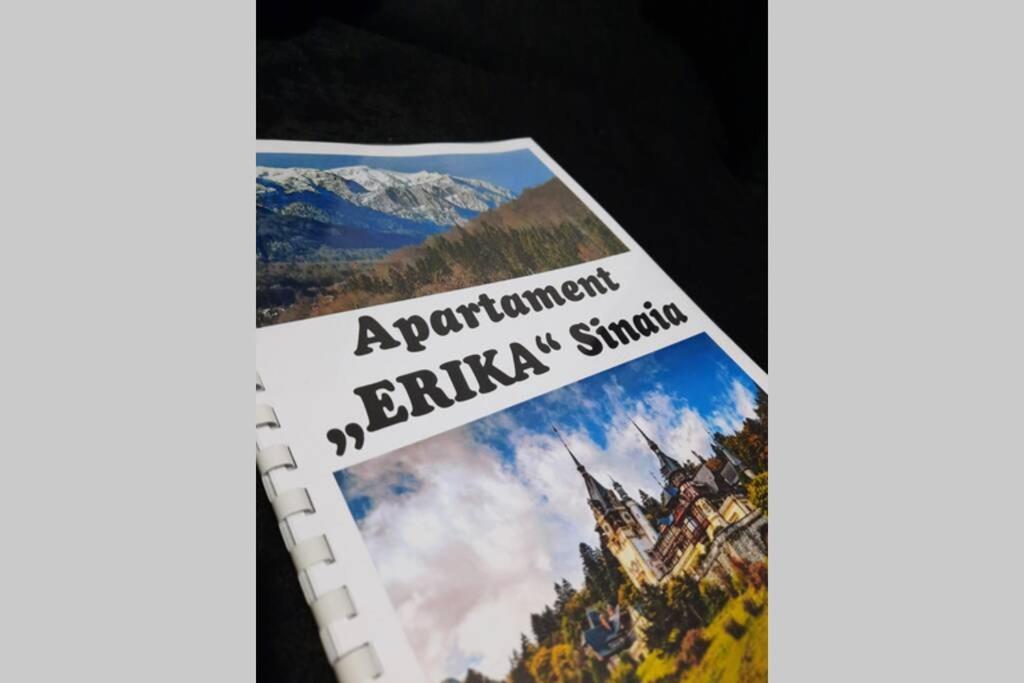 Apartament Erika Sinaia Dış mekan fotoğraf