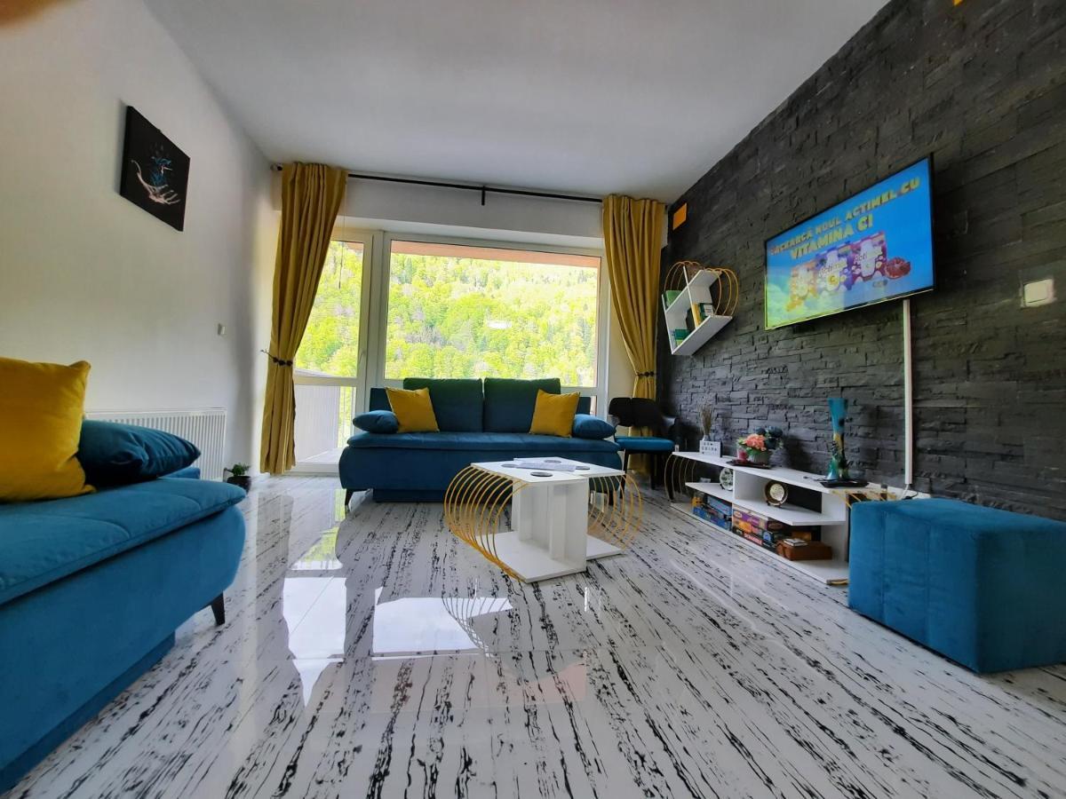 Apartament Erika Sinaia Dış mekan fotoğraf