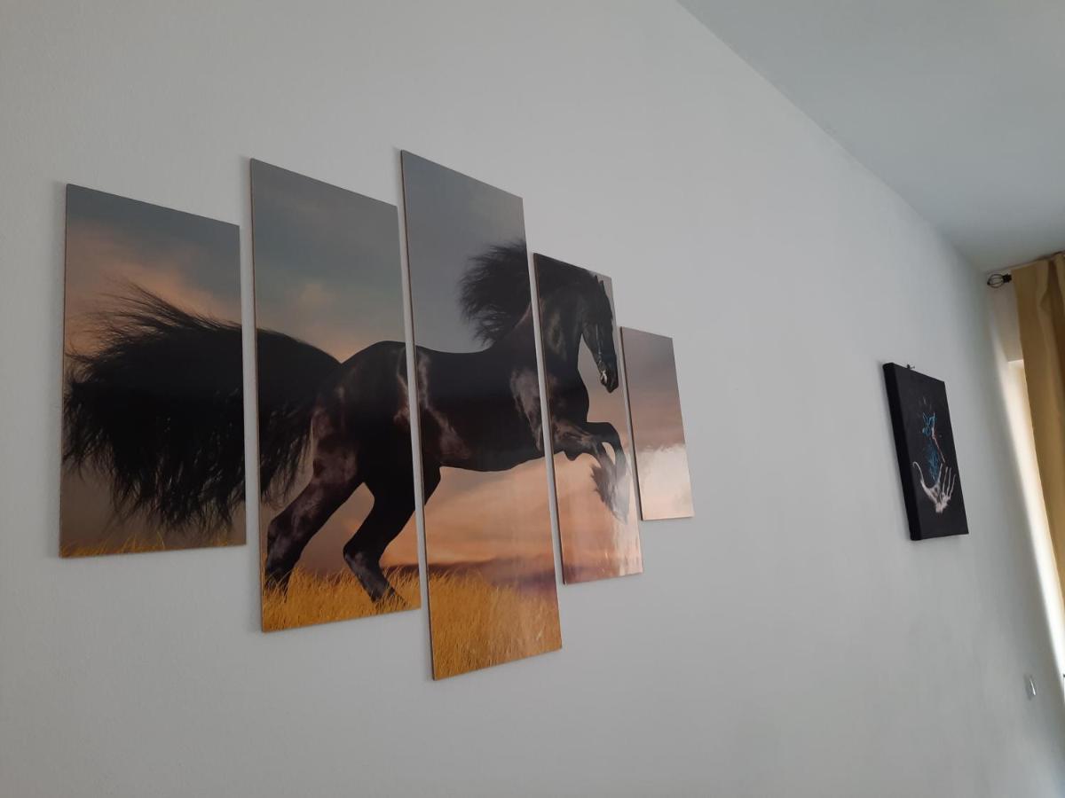 Apartament Erika Sinaia Dış mekan fotoğraf