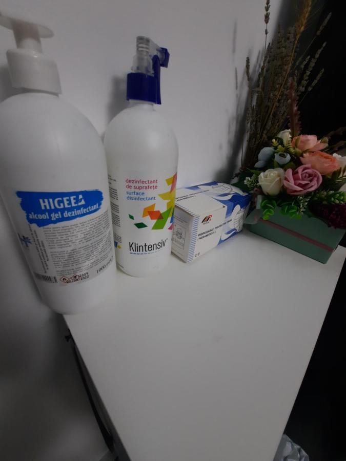 Apartament Erika Sinaia Dış mekan fotoğraf