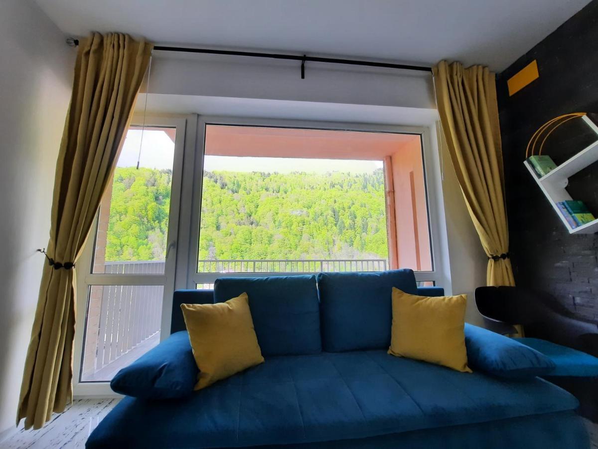 Apartament Erika Sinaia Dış mekan fotoğraf