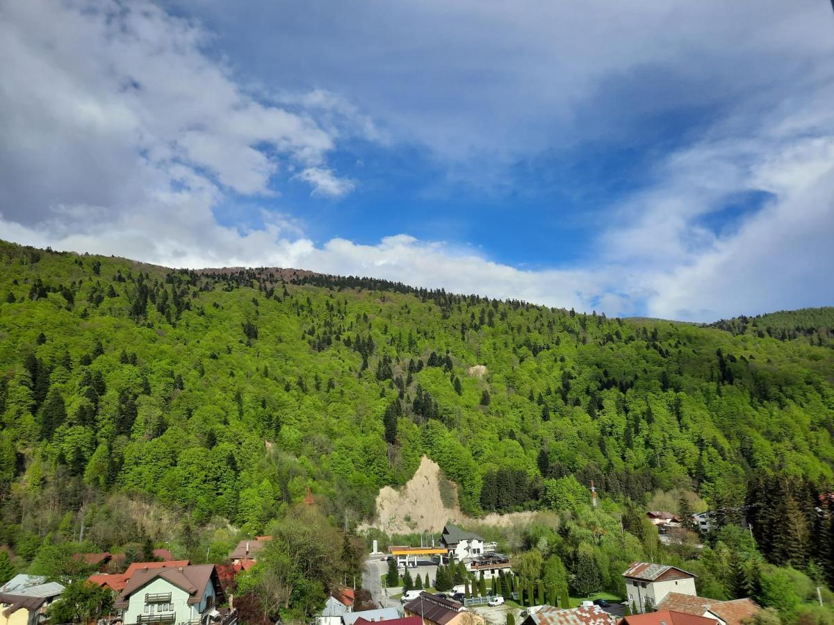 Apartament Erika Sinaia Dış mekan fotoğraf