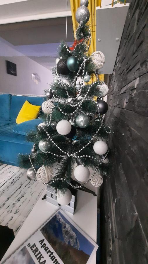 Apartament Erika Sinaia Dış mekan fotoğraf