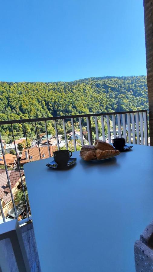 Apartament Erika Sinaia Dış mekan fotoğraf
