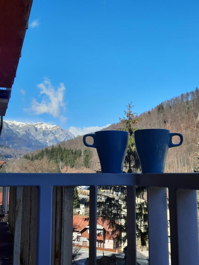 Apartament Erika Sinaia Dış mekan fotoğraf