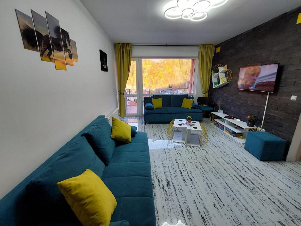 Apartament Erika Sinaia Dış mekan fotoğraf