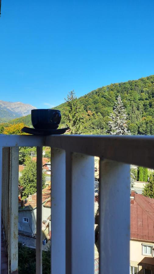 Apartament Erika Sinaia Dış mekan fotoğraf