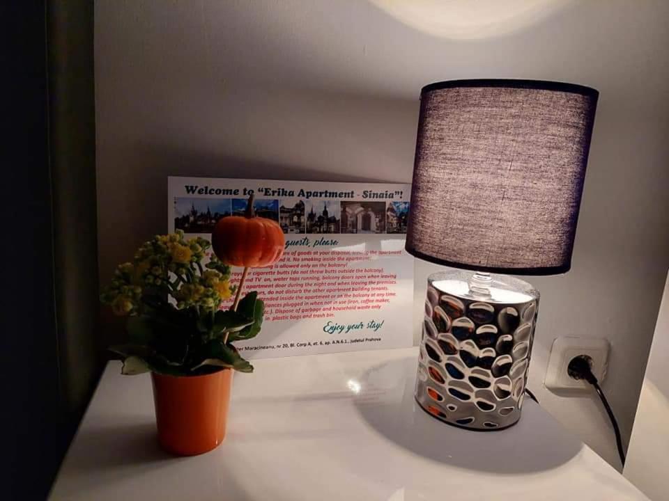 Apartament Erika Sinaia Dış mekan fotoğraf